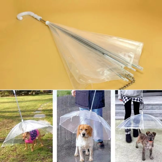 Paraguas paseador de mascotas
